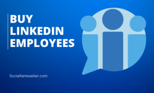 Buy LinkedIn Employees Now