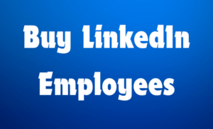 Buy LinkedIn Employees Service